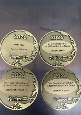 Quatre médaillons de bronze gravés des catégories d’un prix gouvernemental et du nom de chaque lauréat